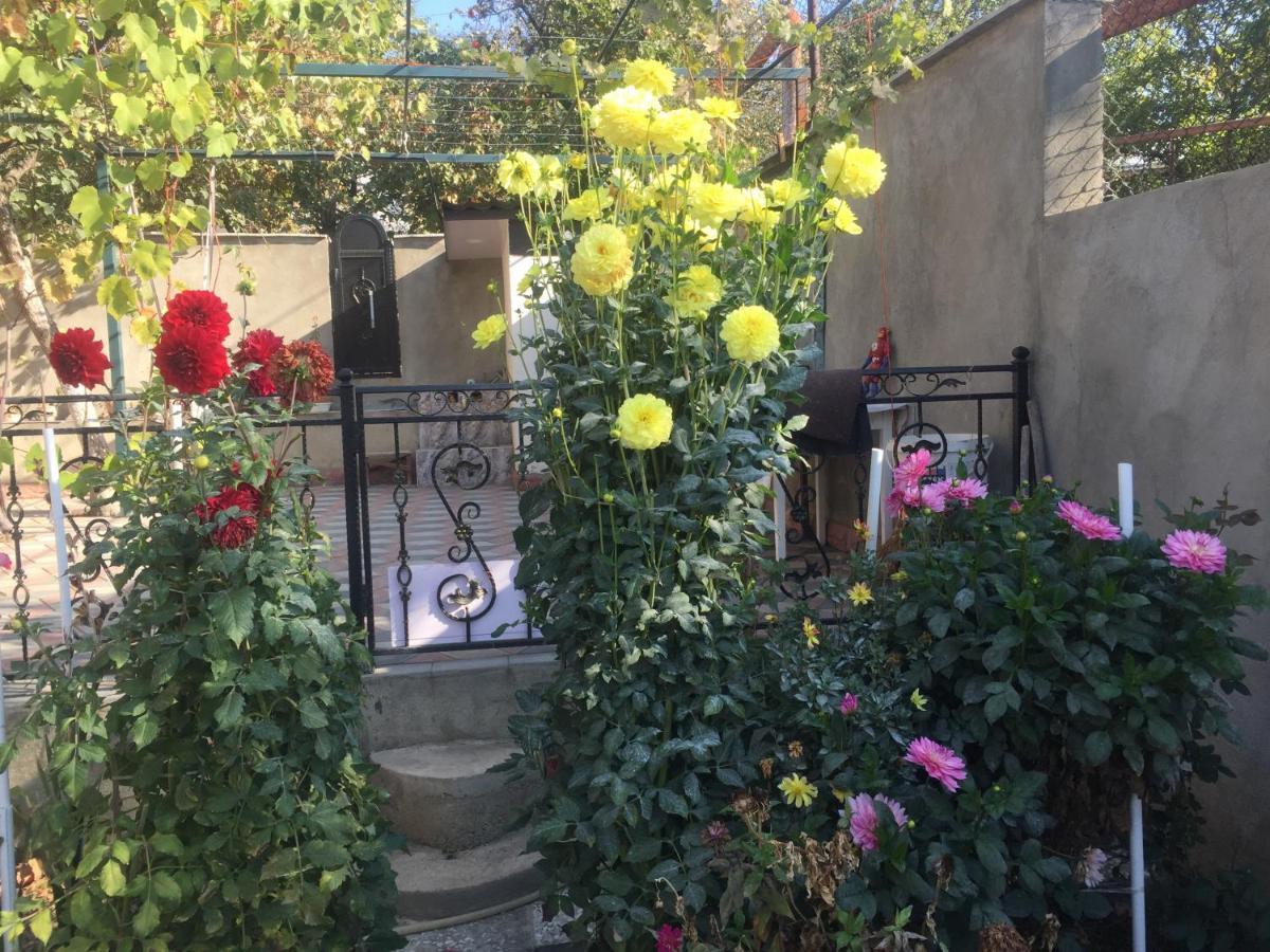 Apartament Sofia Tbilisi Esterno foto